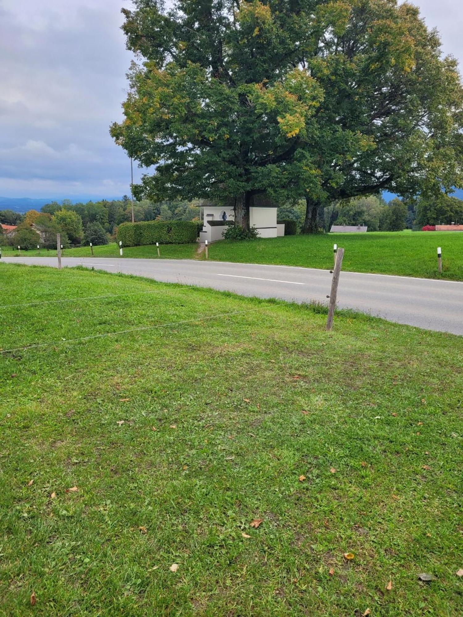 Schnuckeliges Appartement In Prien Am Chiemsee Zewnętrze zdjęcie